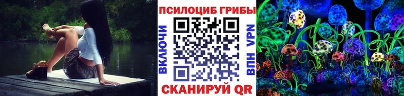 Купить закладки  Туран  Галлюциногенные грибы MAGIC MUSHROOMS 
